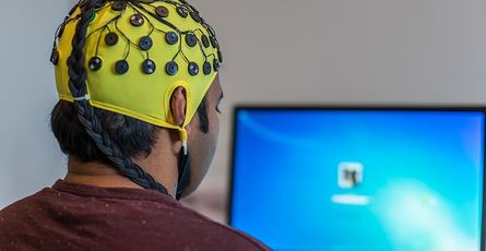 The Mind of a Developer